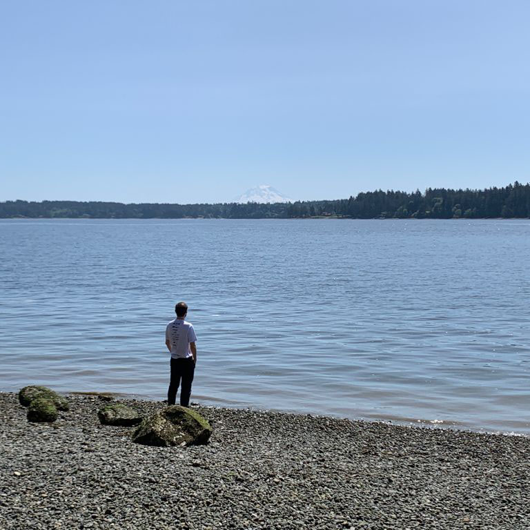 looking out mount rainier